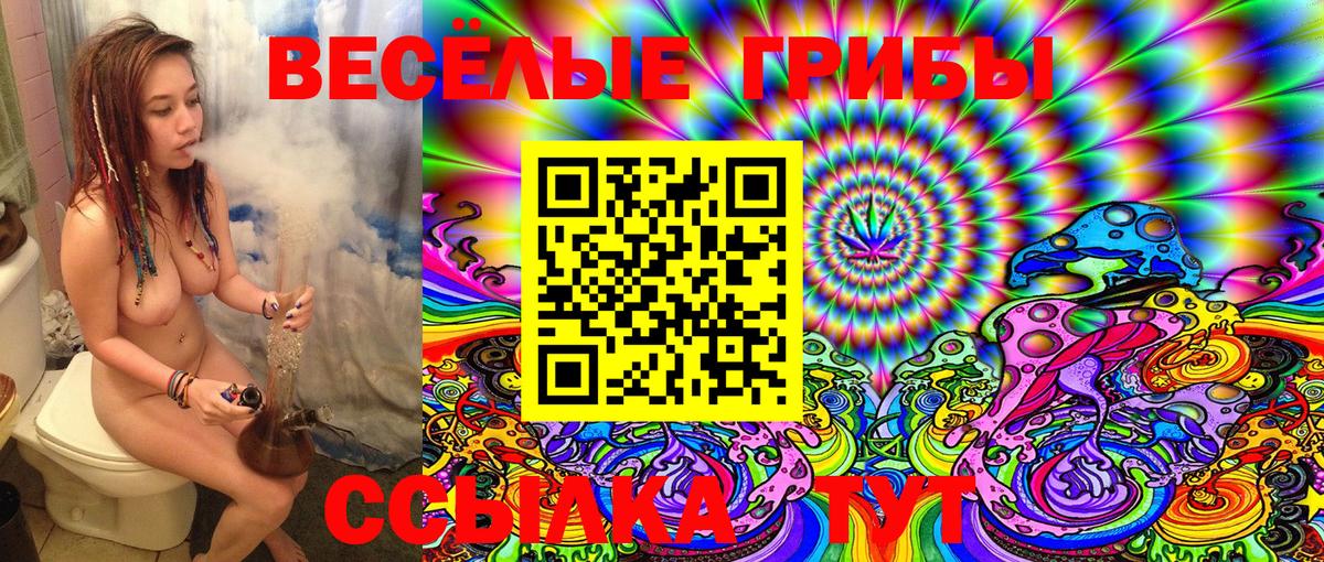 Тулун  Псилоцибиновые грибы Cubensis  Галлюциногенные грибы Cubensis  Вход с VPN 