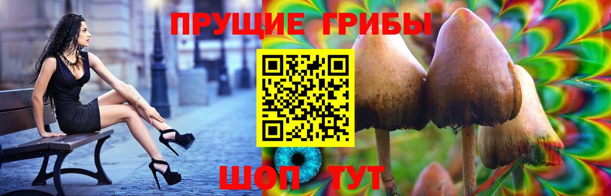 Галлюциногенные грибы Psilocybine cubensis Тулун